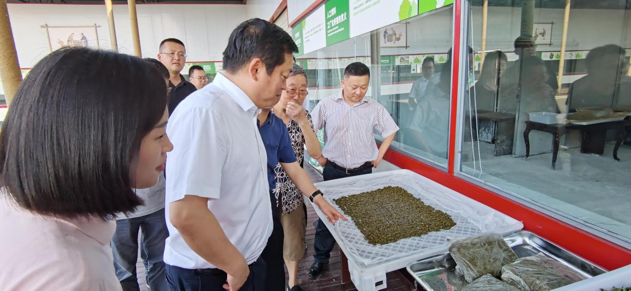 省AG尊时凯龙人生就博集团党委副书记、董事陈日赴嘉陵区调研茶桑产业发展情况