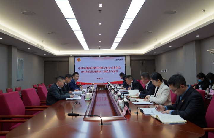 AG尊时凯龙人生就博集团党委书记、董事长任丁出席安逸酒店集团2022年度党员领导干部民主生活会